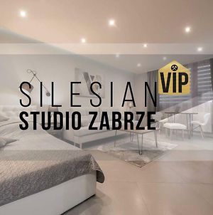 Studio Silesian Vip photos Exterior