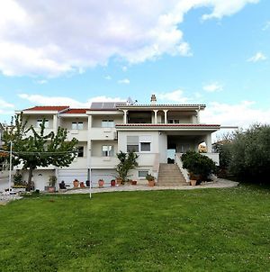 Villa Micic photos Exterior