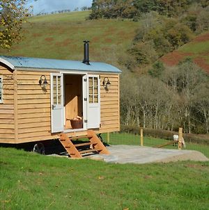 Snug Oak Hut With A View On A Welsh Hill Farm photos Exterior