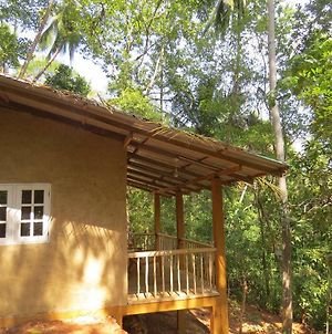 Polwaththa Eco Lodges photos Exterior
