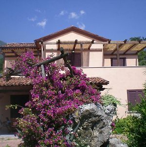 Villa Manati photos Exterior
