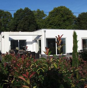 Villa Mosel photos Exterior