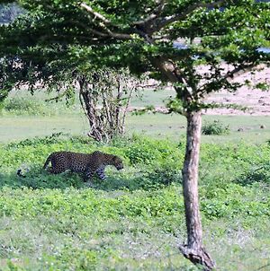 Yakaduru Safari Camp Yala - Sri Lanka photos Exterior