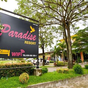 Paradise Resort photos Exterior