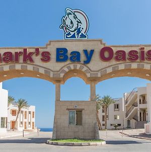 Sharks Bay Oasis photos Exterior