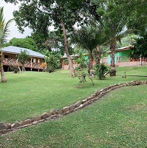 Cocoa Village Guesthouse photos Exterior