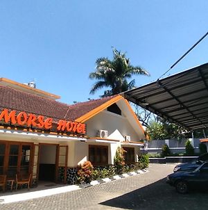 Morse Guesthouse Syariah photos Exterior