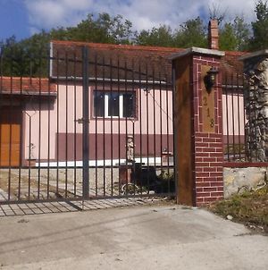 Casa Dragoi Din Socolari, Caras - Severin photos Exterior