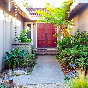 Casa Bella- Serene & Welcoming Home In Santa Rosa! Home photos Exterior