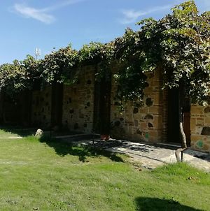 Il Giardino Di Don Peppino photos Exterior