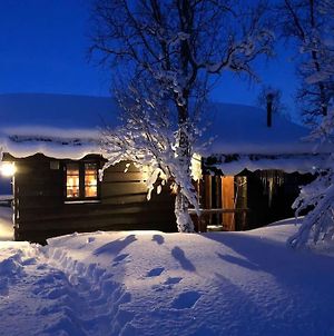 Charming Cabin In Beautiful Area Near Tromso photos Exterior
