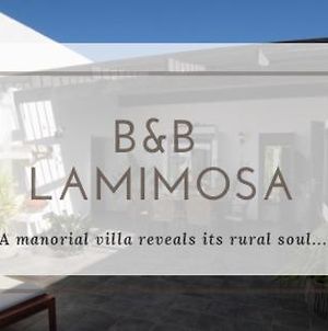 B&B La Mimosa photos Exterior