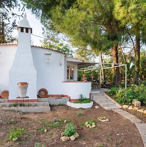Splendid Holiday Home In Utrera With Garden photos Exterior