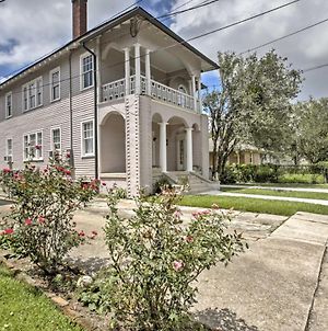 Traditional New Orleans Apt With Porch In River Bend photos Exterior