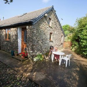 Inviting 2-Bed Cottage In Newcastle Emlyn photos Exterior