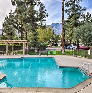 Resort Apt In Heart Of Palm Springs With Pools And Tennis photos Exterior