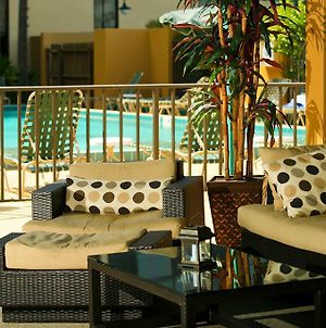 Best Western Orlando Gateway Hotel photos Facilities