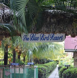 The Blue Bird Resort photos Exterior