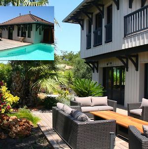 Stunning High Standard Villa, Heated Pool+Aircon+Terrace+Garden photos Exterior