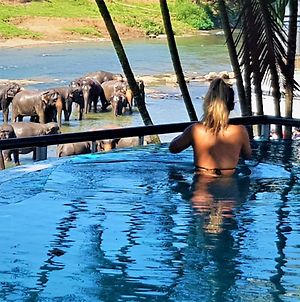 Hotel Elephant Park "Grand Royal Pinnalanda" photos Exterior