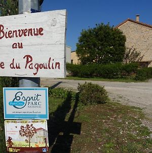 Gite Du Pagoulin - Gite photos Exterior