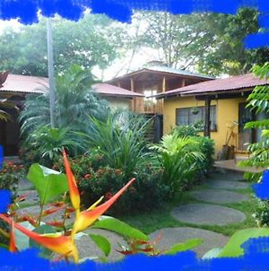 Villa Silvestre photos Exterior