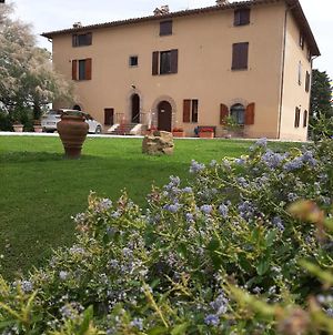 Villa Finetti photos Exterior