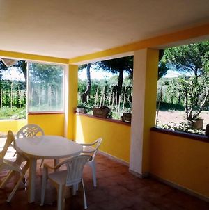House With One Bedroom In Molinella, With Enclosed Garden And Wifi - 1 Km From The Beach Vr photos Exterior