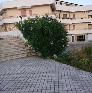 Apartments Mediterraneo 475 photos Exterior