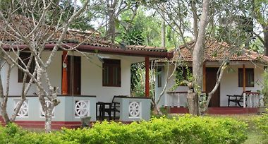 Calm Garden Cabanas Tangalle Sri Lanka From Us 24 Booked