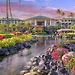 Grand Hyatt Kauai Resort & Spa pics,photos